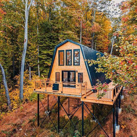 Secluded Mtn View New! 10 Mins To Gatlinburg Or Park Villa Bagian luar foto