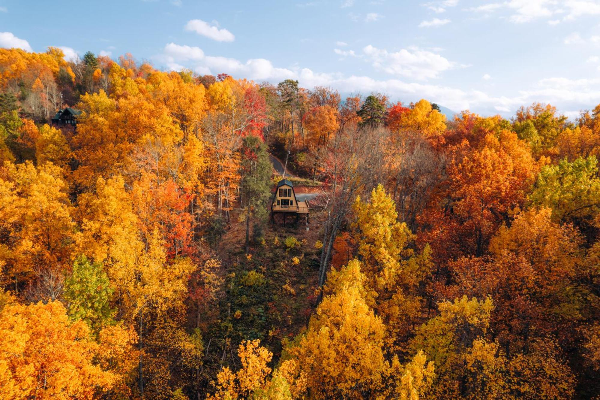 Secluded Mtn View New! 10 Mins To Gatlinburg Or Park Villa Bagian luar foto